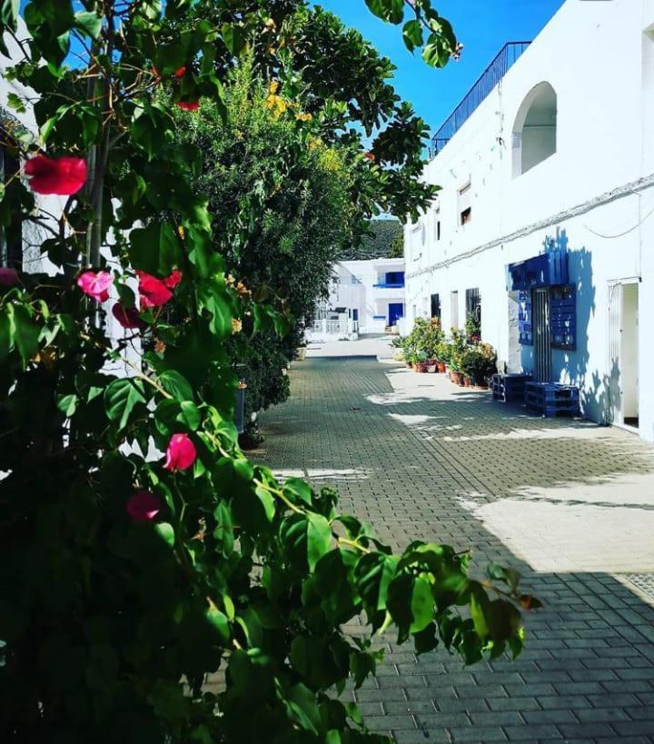 Casa Del Pez Vivienda A Pie De Calle En Agua Amarga A 250 Metros De La Playa Zewnętrze zdjęcie
